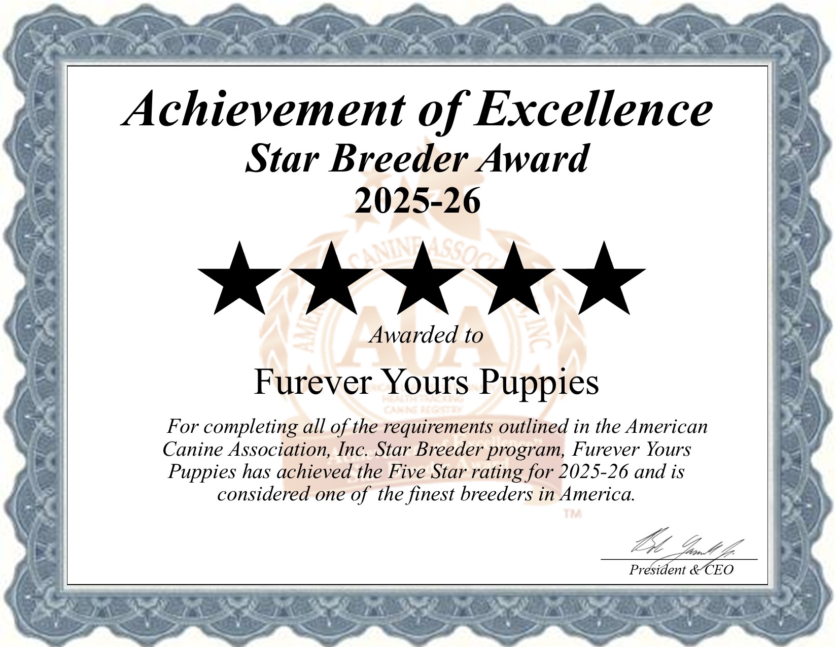 Furever Yours Puppies, dog, breeder, star, certificate, Furever Yours Puppies, Narvon, PA, Pennsylvania, puppy, dog, kennels, mill, puppymill, usda, 5-star, aca, ica, registered, Pembroke Corgi