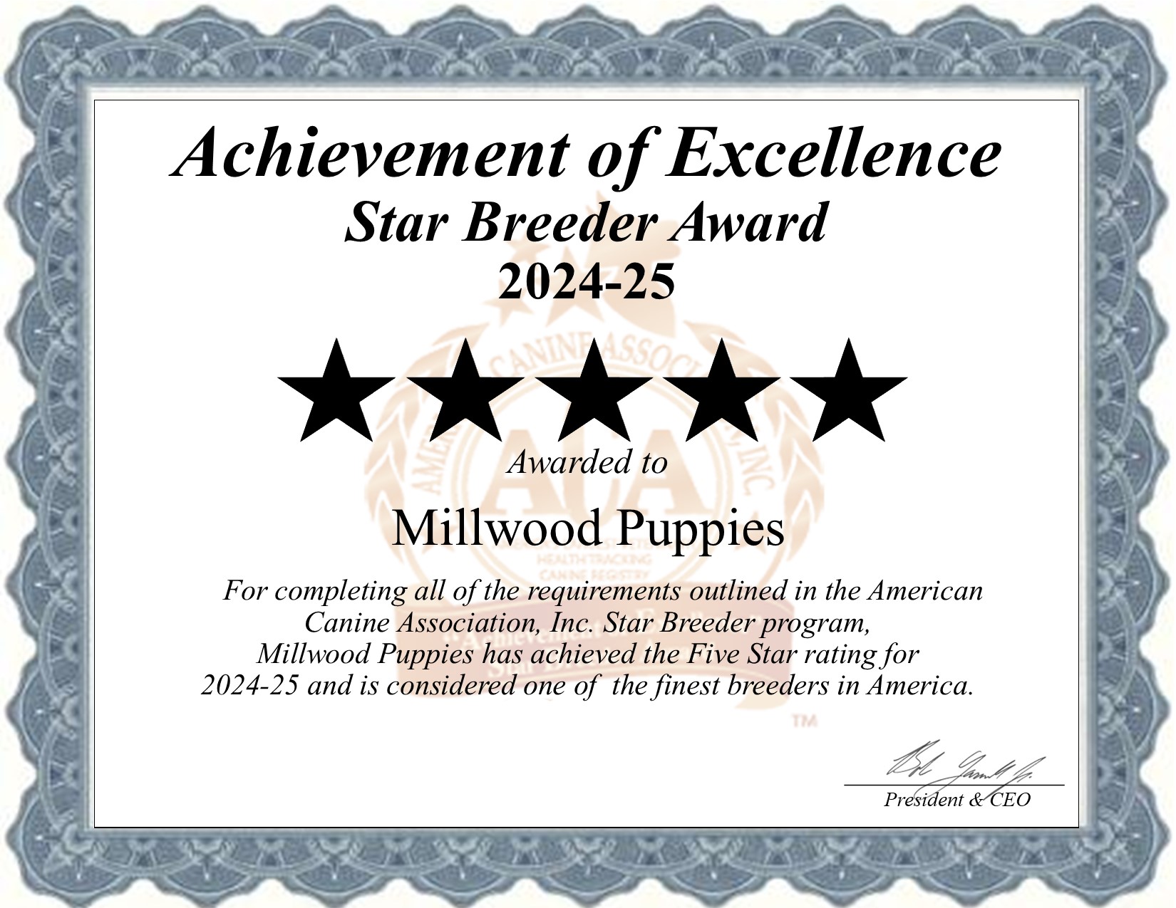 Millwood, Puppies, dog, breeder, star, certificate, Millwood-Puppies, Gap, PA, Pennsylvania, puppy, dog, kennels, mill, puppymill, usda, 5-star, aca, ica, registered, Bernadoodle, 17353